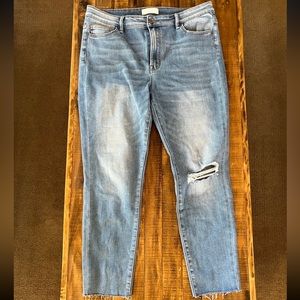 BNWOT Vervet Siasta High Rise Distressed Skinny Jean